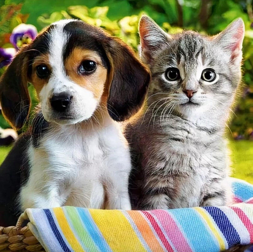 4d9121c3f22766f863b9e28b48e5d3f9 4d9121c3f22766f863b9e28b48e5d3f9